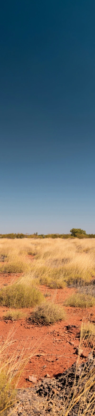2014-lower-horizon.jpg