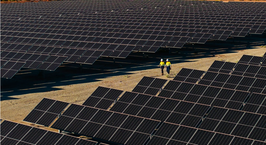 PLS employees walking through solar farm.