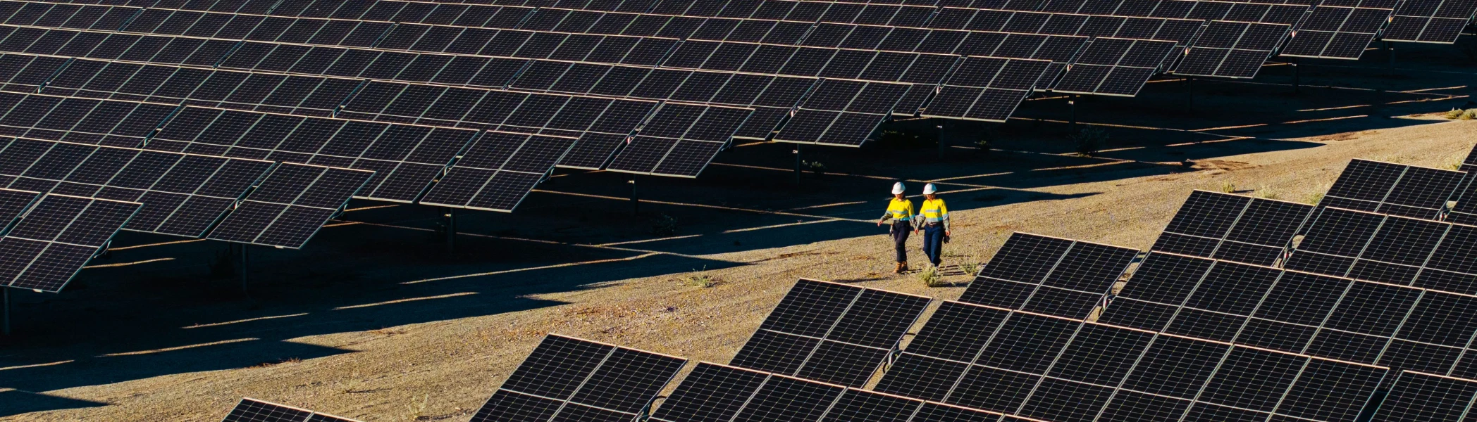 PLS employees walking through solar farm.